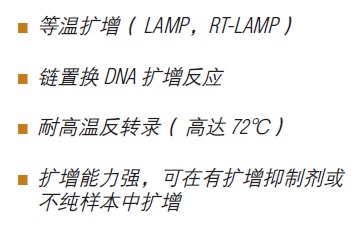 Bst 3.0 DNA 聚合酶--NEB酶试剂 New England Biolabs