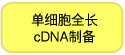操作简便的单细胞mRNA分析