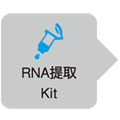 Human Housekeeping Gene Primer Set