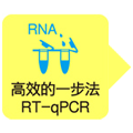 One Step PrimeScript&trade; RT-PCR Kit (Perfect Real Time)