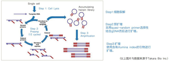 PicoPLEX DNA-seq Kit