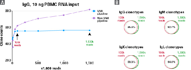 SMARTer Human BCR IgG IgM H/K/L Profiling Kit