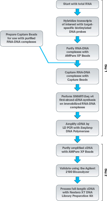 SMARTer Target RNA Capture for Illumina