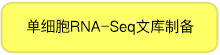 SMART-Seq HT Kit & SMART-Seq HT PLUS Kit