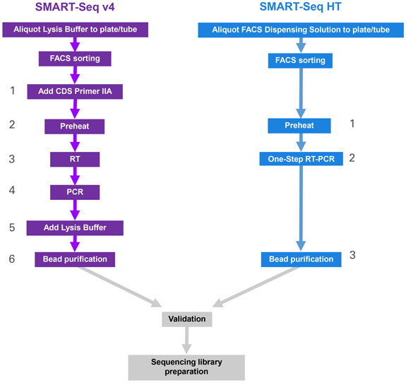 SMART-Seq HT Kit & SMART-Seq HT PLUS Kit