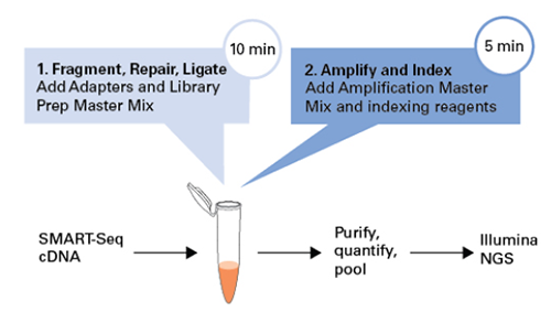 SMART-Seq HT Kit & SMART-Seq HT PLUS Kit