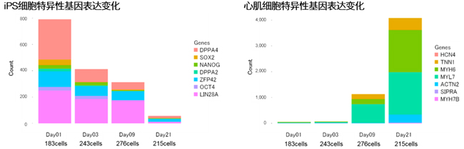 自动化高通量的单细胞差异表达分析