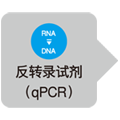 Fruit-mate&trade; for RNA Purification