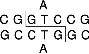 CpoI (Rsr II)