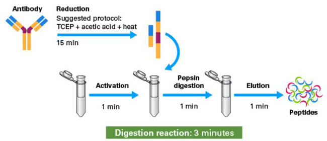 Capturem&trade; Trypsin