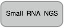 pBApo-EF1α Neo DNA
