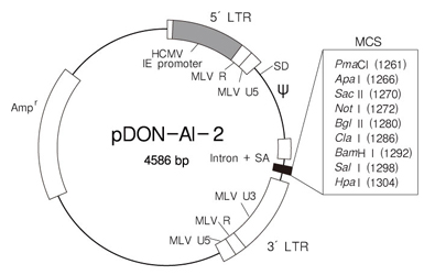 pDON-AI-2 DNA