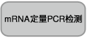 in vitro Transcription T7 Kit（for siRNA Synthesis）