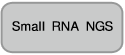 pBApo-EF1α Pur DNA