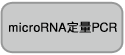 RNAiso for Small RNA