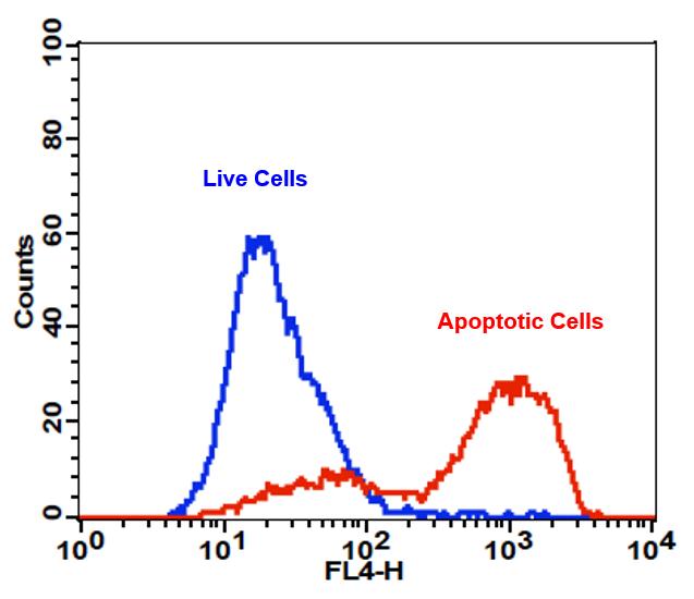APC-Annexin V细胞凋亡检测试剂  货号：22837