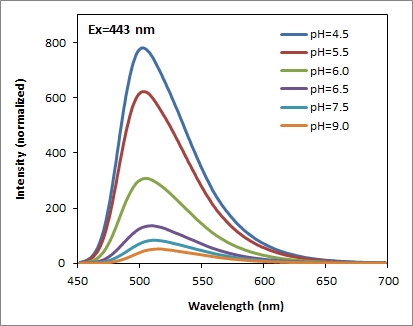 Protonex 绿 500WS pH荧光探针  货号：21218