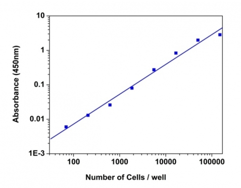 Cell Meter 比色法WST-8细胞定量试剂盒  货号：22770