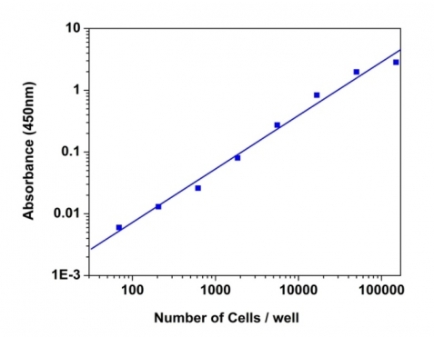Cell Meter 比色法WST-8细胞定量试剂盒  货号：22771