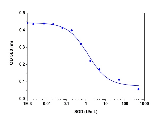 超氧化物歧化酶（SOD）检测试剂盒  货号：11305