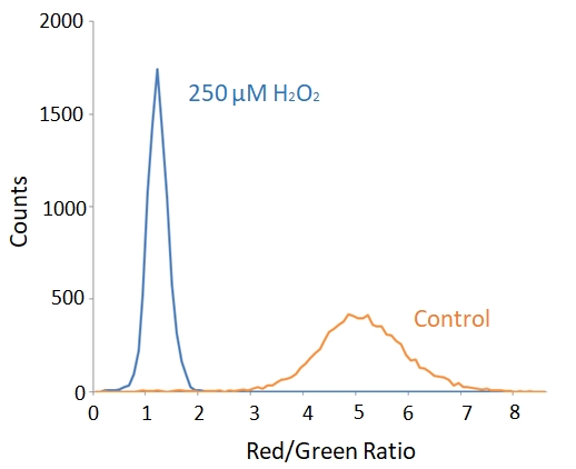 荧光细胞脂质过氧化测定试剂  货号：22906
