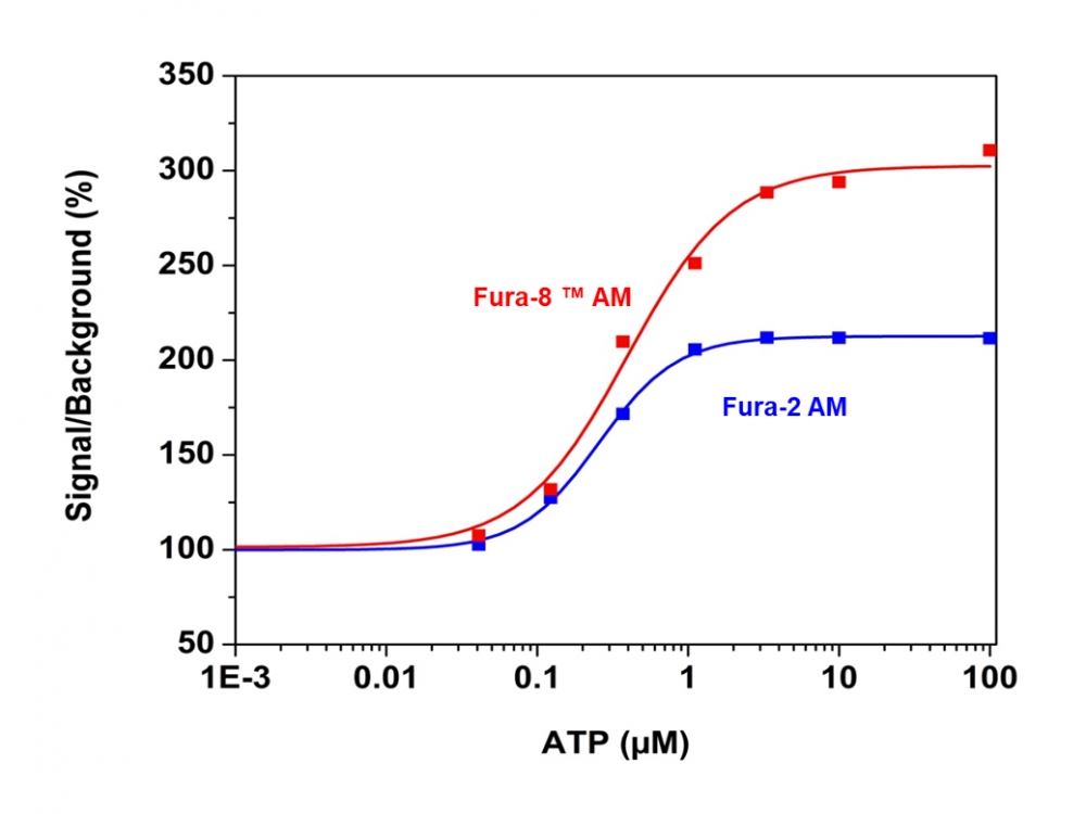 钙离子荧光探针Fura-8, AM  货号：21056