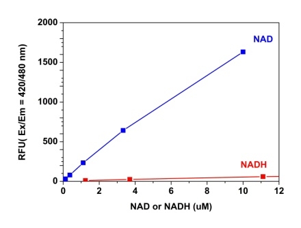NAD检测试剂盒 (荧光法)蓝色荧光 货号:15280