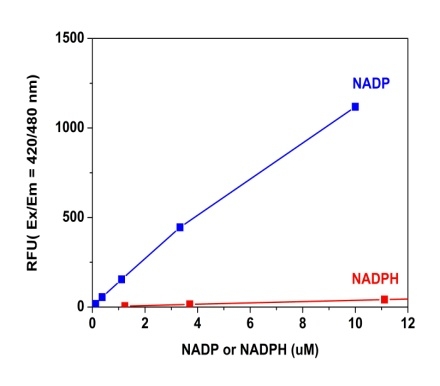 NADP检测试剂盒（荧光法）蓝色荧光  货号：12581