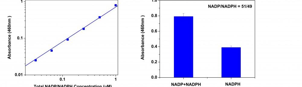 Amplite比色法NADP/NADPH比率检测试剂盒   货号：15274