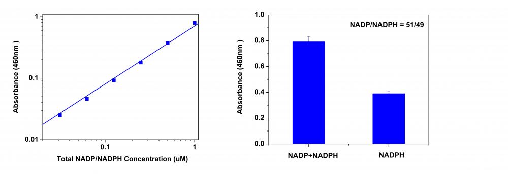 Amplite比色法NADP/NADPH比率检测试剂盒   货号：15274