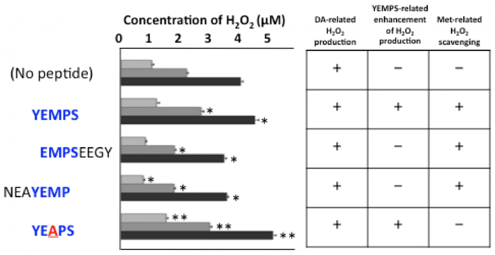 "Amplite Fluorimetric Hydrogen Peroxide Assay Kit   货号：11501