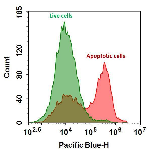 Annexin V-mFluor Violet 450标记  货号：20080
