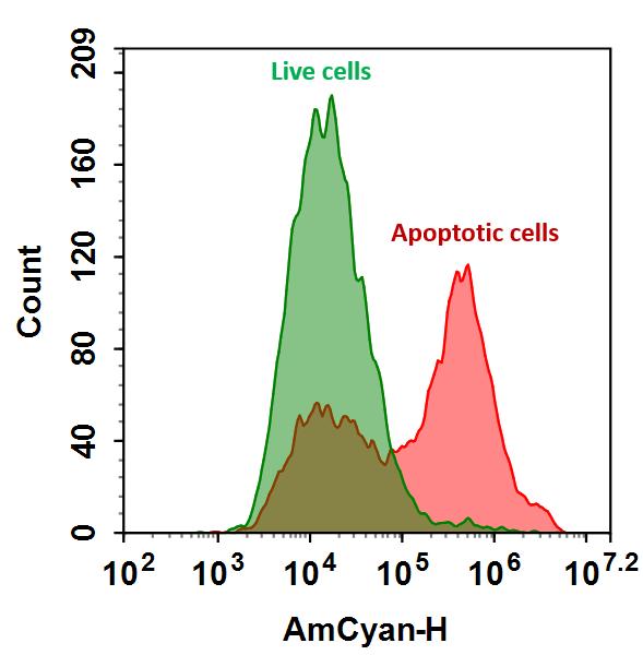 Annexin V-mFluor Violet 510标记  货号：20081