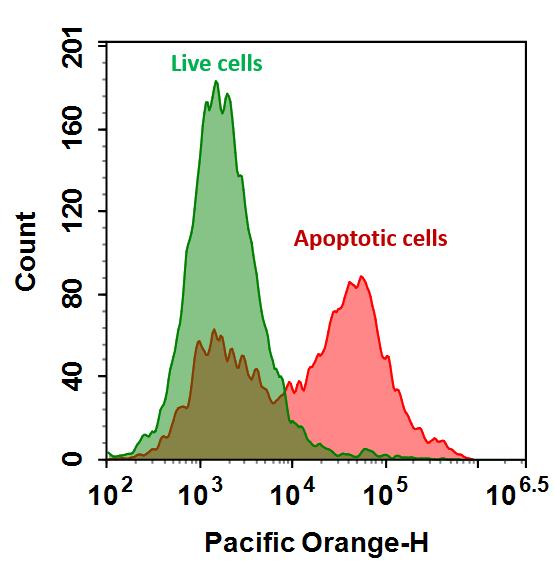 Annexin V-mFluor Violet 540标记  货号：20082