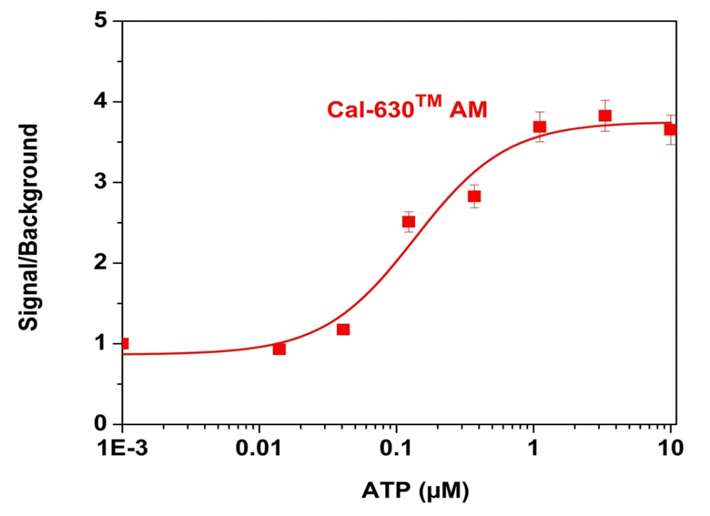 钙离子荧光探针Cal-630 AM  货号：20531