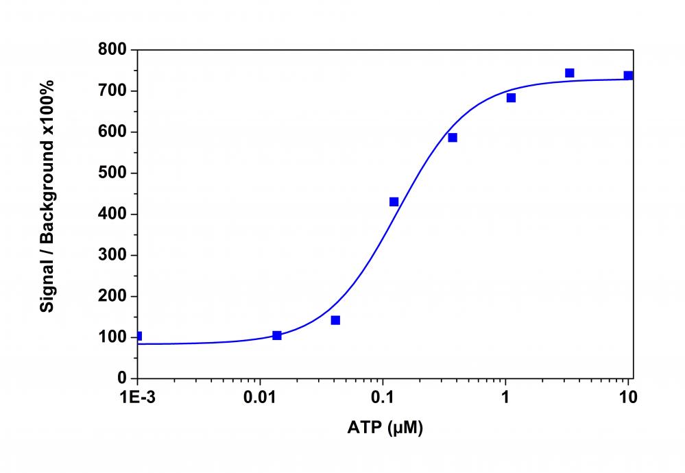 新型钙离子荧光探针Calbryte 590, AM *细胞渗透性*  货号：20702