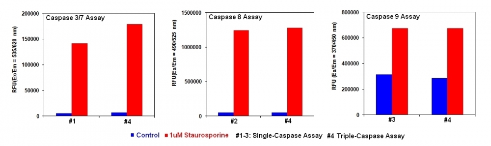 Caspase 3/7/8/9活性细胞凋亡复用检测试剂盒   货号：22820