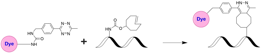 iFluor 555 Tetrazine  货号：1016