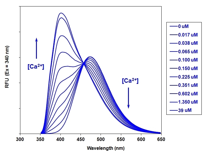 钙离子荧光探针Indo-1, AM（超纯级）  货号：21032