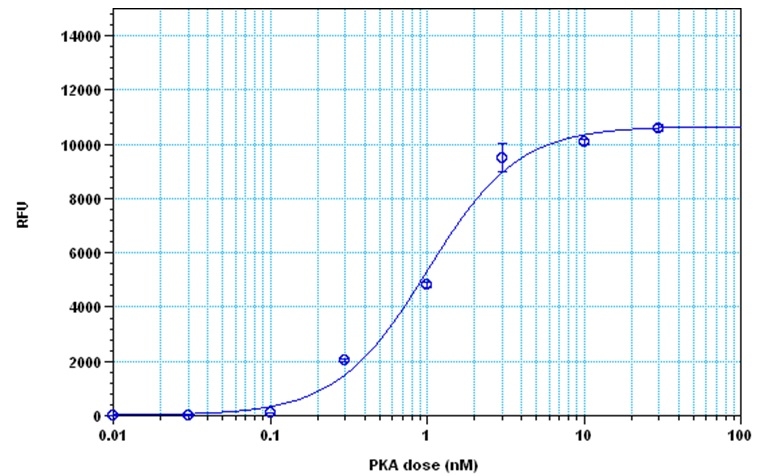 PhosphoWorks 荧光法ADP检测试剂盒   货号：21655