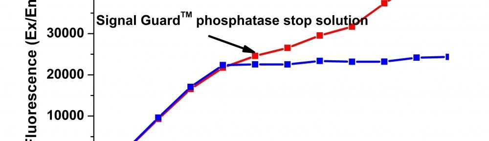 Signal Guard 磷酸酶反应终止液  货号：11622