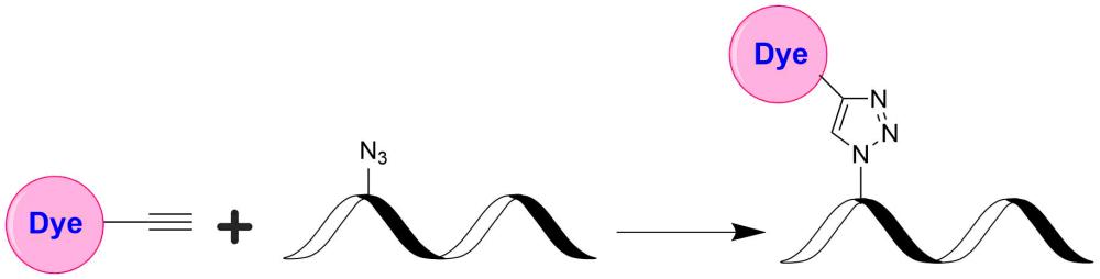荧光淬灭剂Tide Quencher 2炔烃  货号：2212