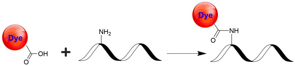荧光淬灭剂Tide Quencher 3酸  货号：2220