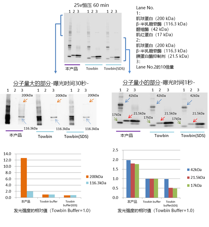 AquaBlot&trade; 10&#215;高效率转膜buffer