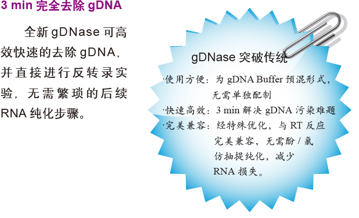 天根FastQuant RT Kit (With gDNase)