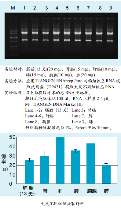 天根动物组织总RNAti取试剂盒50次