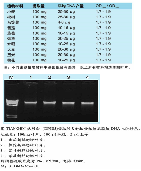 天根植物基因组DNAti取试剂盒 50次