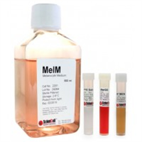 ScienCell黑色素细胞培养基MelM