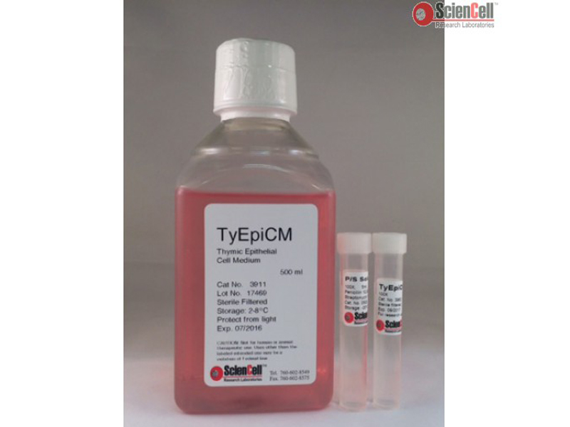 ScienCell胸腺上皮细胞培养基TyEpiCM