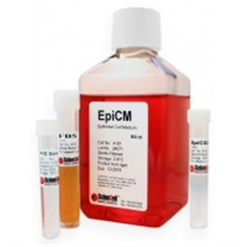 ScienCell 上皮细胞培养基EpiCM